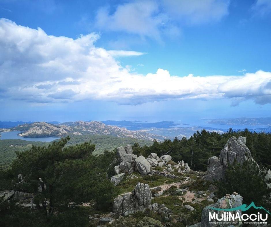 Camping Mulinacciu 里奇 外观 照片