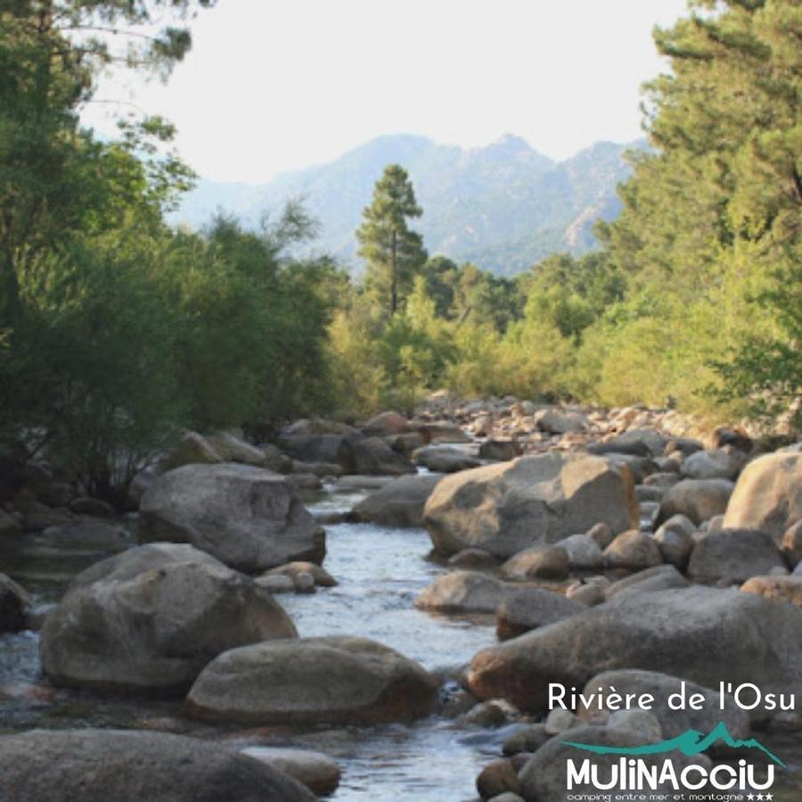 Camping Mulinacciu 里奇 外观 照片
